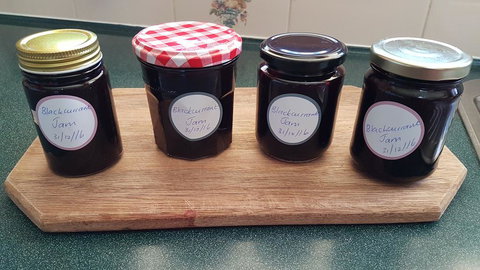 Jensens Bed And Breakfast - Internet Find 2