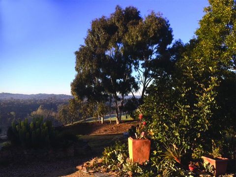 Kangaroo Hill Studio - Renee 2
