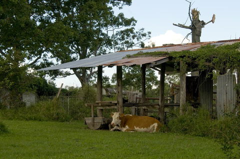 Lagoon Pocket Bed & Breakfast - Renee 3