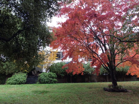 Lakeshore House, Daylesford - Swimm 2