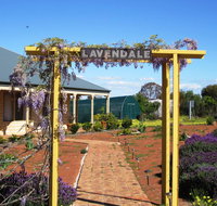 Lavendale Farmstay and Cottages York - Renee