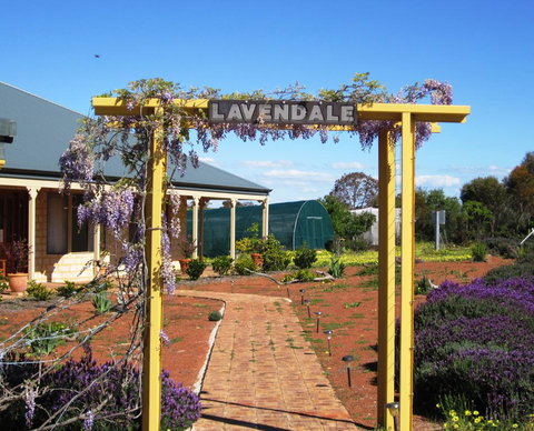 Lavendale Farmstay And Cottages York - Renee 0