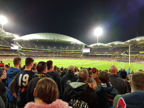 Levi Park Caravan Park - Renee 3