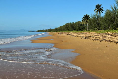 Licuala Lodge - Internet Find 1