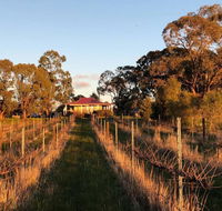 Lillicur Vineyard BB - Renee