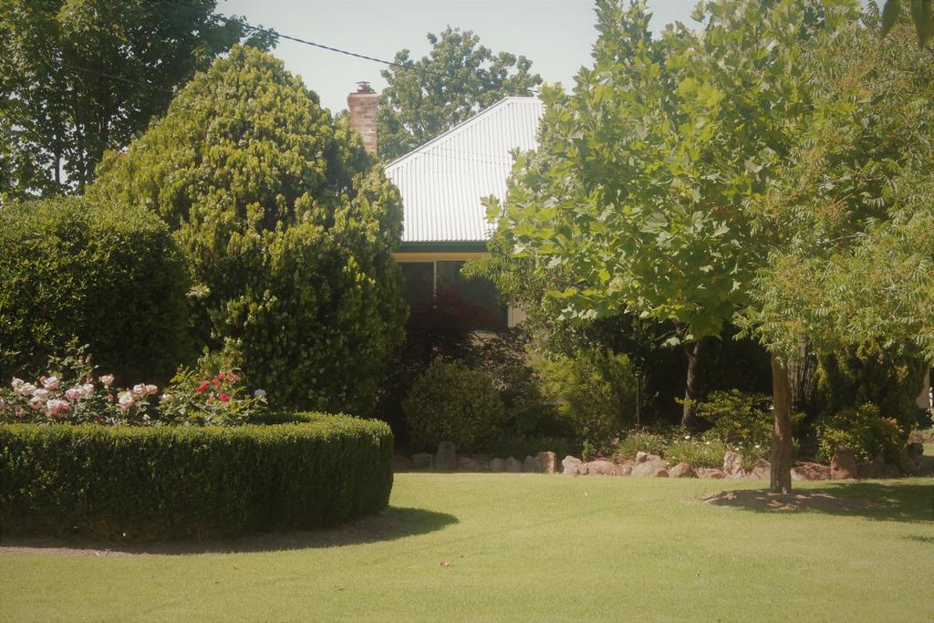 Glenlyon QLD Renee