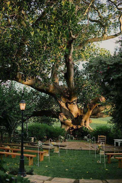 Maddies Of Bolwarra - Swimm 3