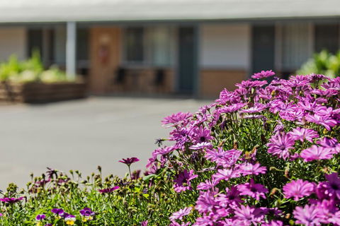 Maffra Motor Inn - Renee 2