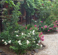 Maldon's Eaglehawk Motel - Swimm