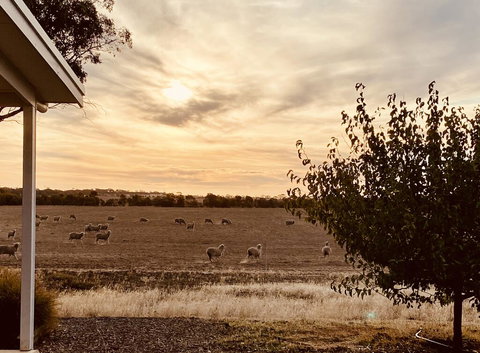 Mary's Farm Cottages - Qld Realsetate 2