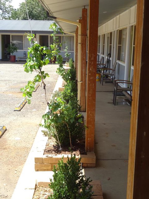 Memphis Motor Inn - Qld Realsetate 3