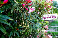 Mercury motor inn