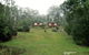 Minnow Cabins Lower Beulah - thumb 0