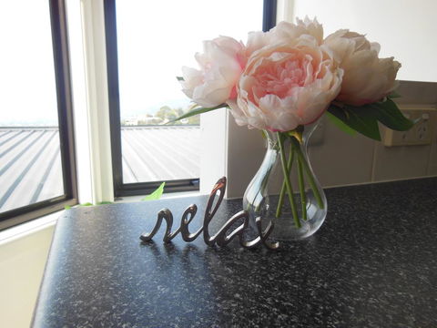 Modern Hobart Apartment With Stunning Views - Renee 0