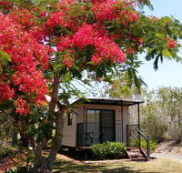 Mt Larcom Tourist Park - Renee