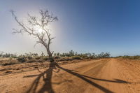Mungo Shearers' Quarters