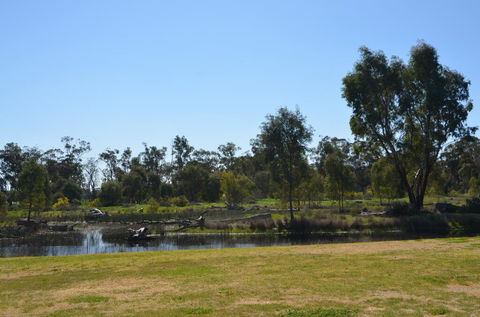 Murrord Wetlands - Internet Find 2