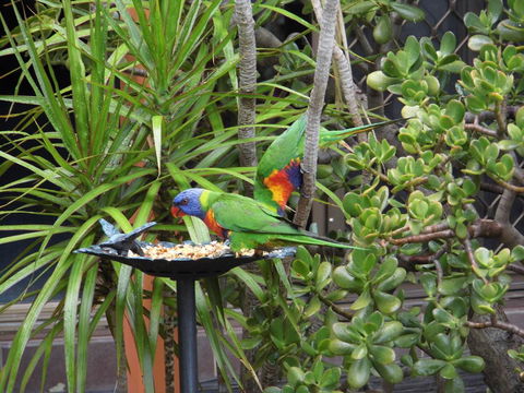 Nanango Fitzroy Motel - Renee 2