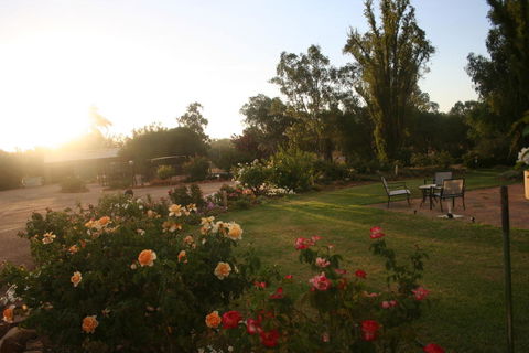 Newell Motor Inn Narrandera - Internet Find 3