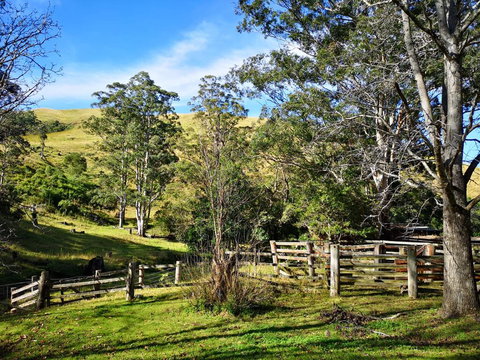 Nirvana Spiritual Retreat - Renee 2