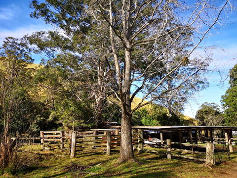 Nirvana Spiritual Retreat - Renee 1