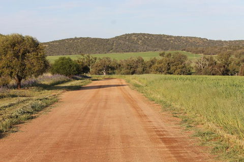 Northbrook Farmstay - Internet Find 2