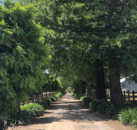 Oak Lane Guest House  Farm Stay - Renee