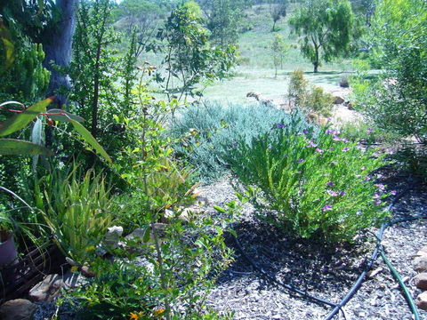 Old Miners' Cottages Bed And Breakfast - Internet Find 0