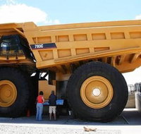 Paddys Golden Patch - Internet Find