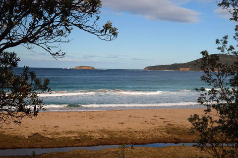 Pebbly Beach Shacks - Swimm 0