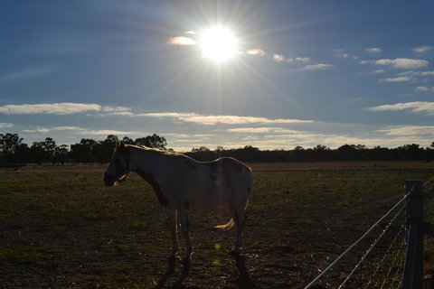 Penny's Place In The Pyrenees - Qld Realsetate 1