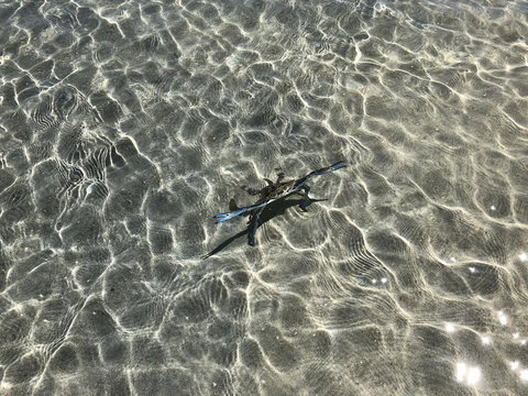 Peppermint Grove Beach Holiday Park - Qld Realsetate 1