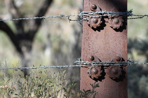 Pichi Richi Park - Renee 2