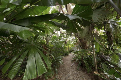 Rainforest Castaways Resort And Spa - Petrol Stations 1