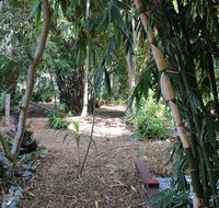 Rainforest Water Front River Shack Secluded. - Petrol Stations