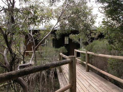 Raven Cottage - Renee 1