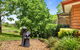 Ravensbourne Escape-Tree Tops - thumb 3