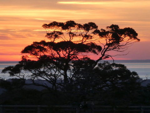 Red Hill Ridge - Renee 1