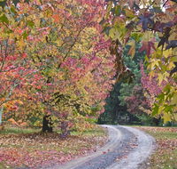 Rustic Spirit - Renee