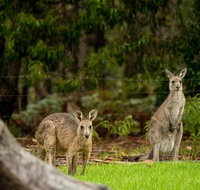 Secura Lifestyle Countryside Kalaru - Swimm