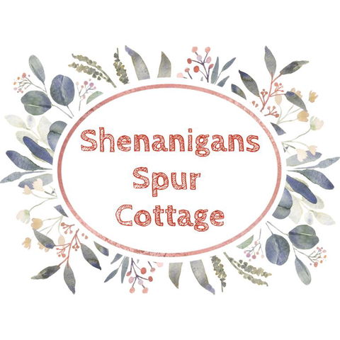 Shenanigans Spur Cottage - Internet Find 3