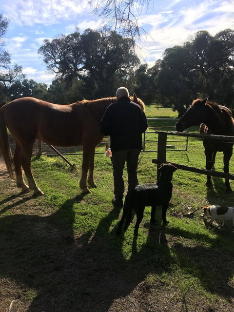 Shetland Park Chalets - Swimm 2