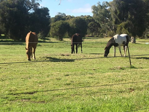 Shetland Park Chalets - Swimm 1