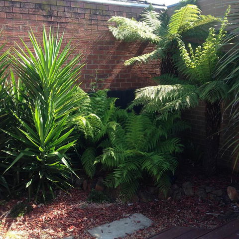 Short Stays Gippsland Trafalgar - Renee 3