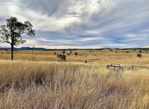 Skyline Farm House - Renee 3