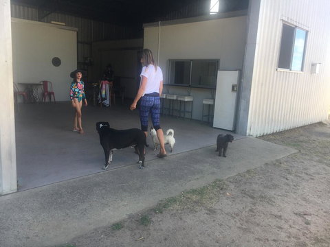 Something Different - Renee 2