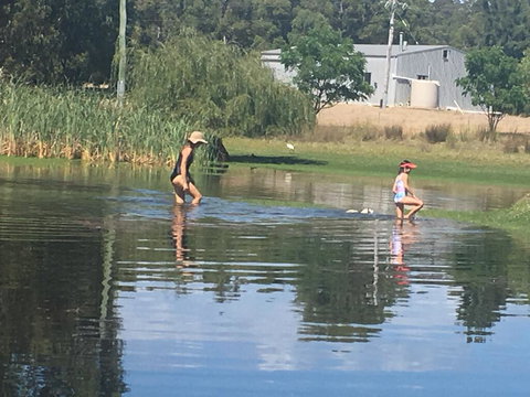 Something Different - Renee 1