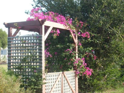 Southern Vales Bed & Breakfast - Renee 3