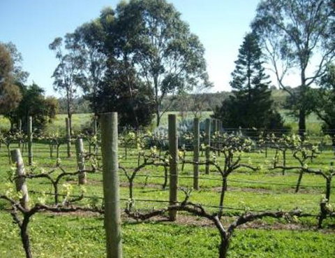 Southern Vales Bed & Breakfast - Renee 1