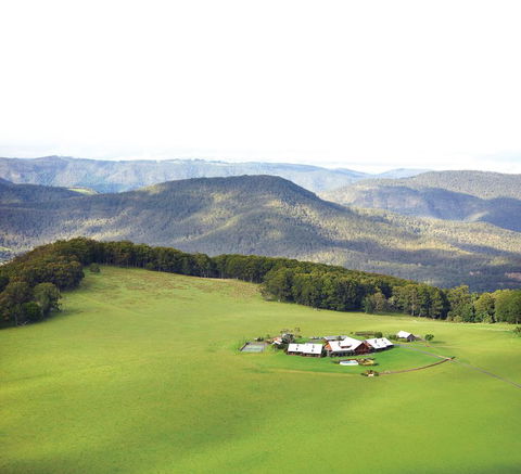 Spicers Peak Lodge - Renee 1